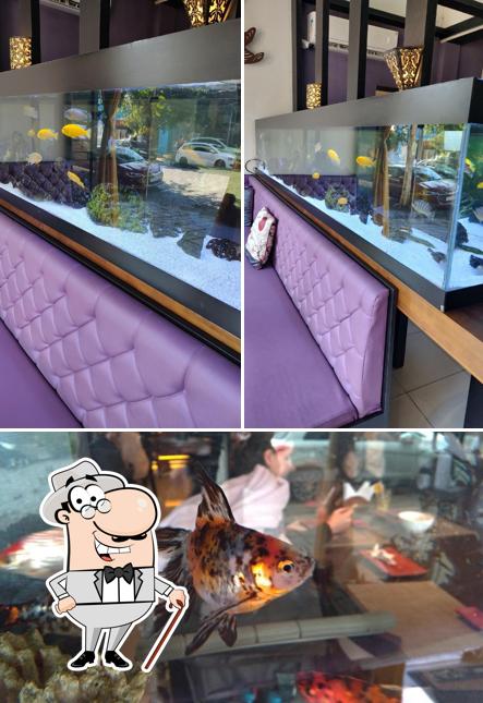 O exterior do Yutaka Sushi Bar