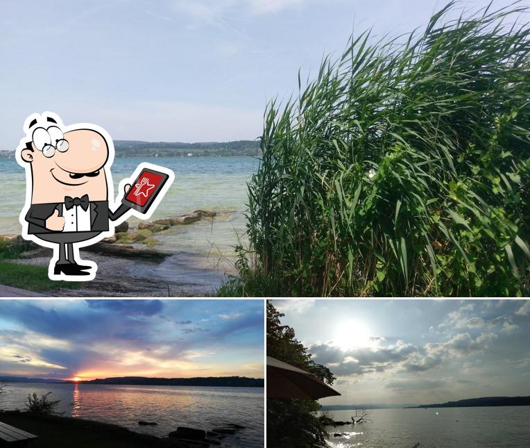 Guarda la parte esterna di Insel Lützelau