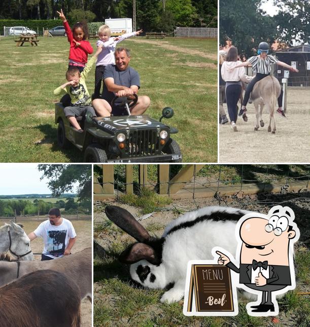 Sanctuaire de Silence Animal - Le relais des ânes
