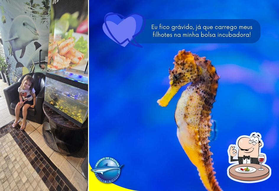 Comida em Aquários - Ubatuba