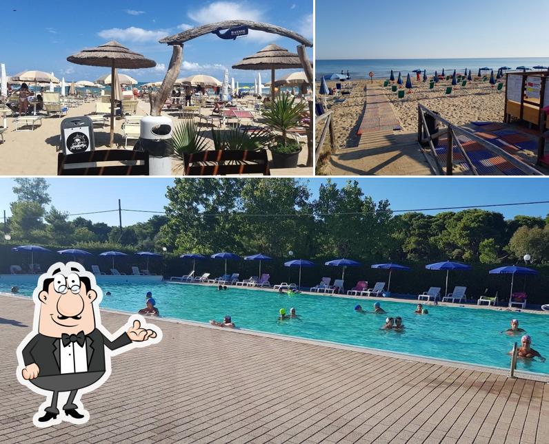 Dai un'occhiata agli interni di Gold Coast Camping Village