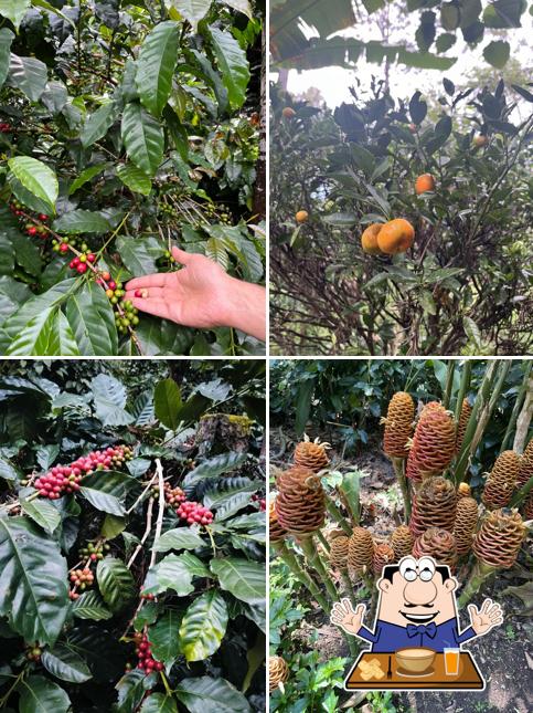 Food at Shambala Yercaud