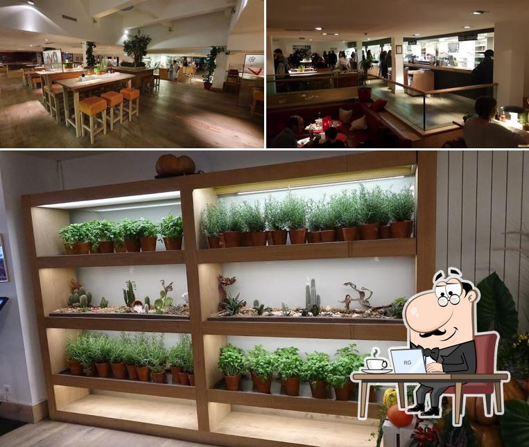 Dai un'occhiata agli interni di VaSano Ristorante