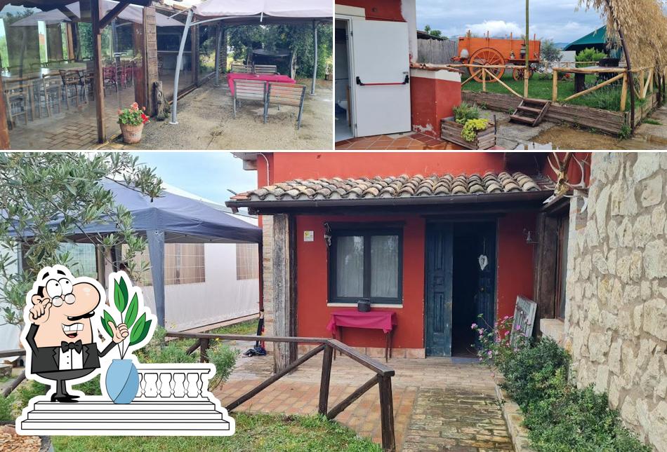 Guarda gli esterni di Azienda Agricola Marcotulli Massimiliano