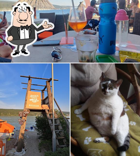 Gli interni di Beach bar Galapagos