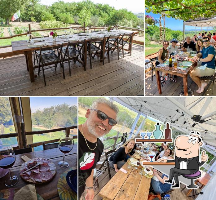 Fattoria Madonna della Querce