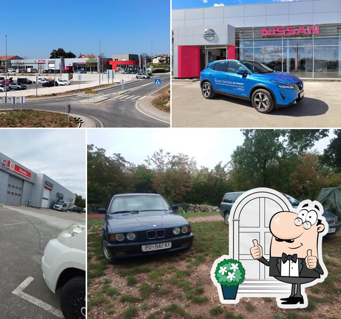 Guarda gli esterni di Etradex AC Žminj