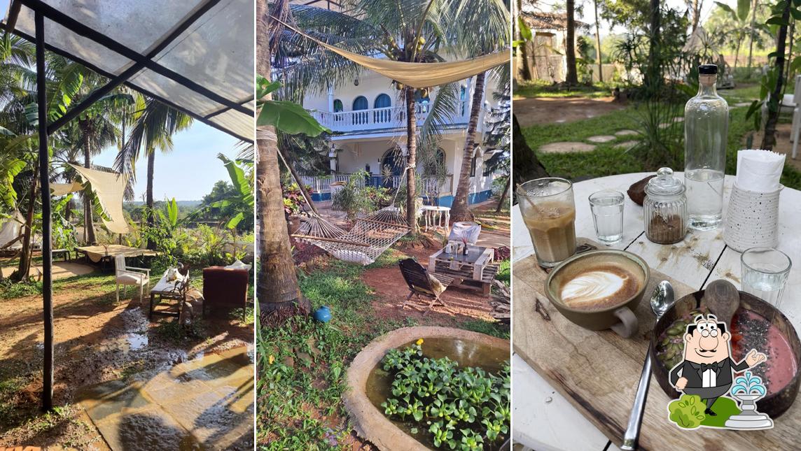 Enjoy the view at the outside area of Palmorama