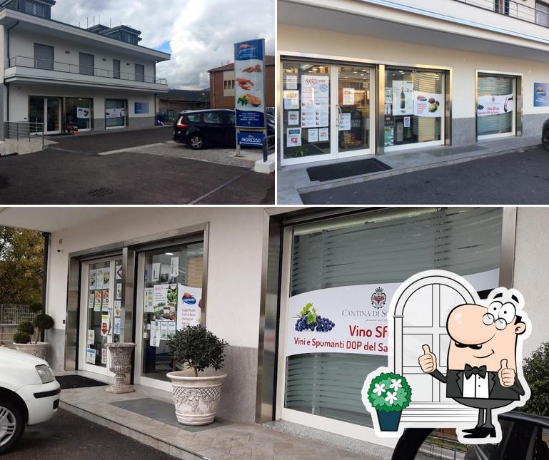 Gli esterni di Surgelandia