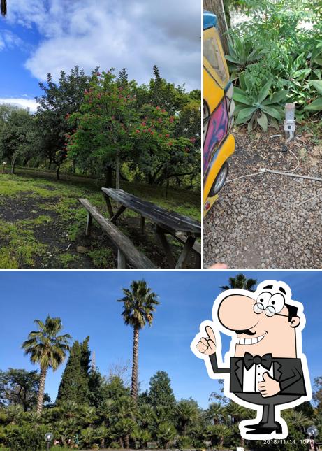 Ecco un'immagine di Parco Chico Mendes