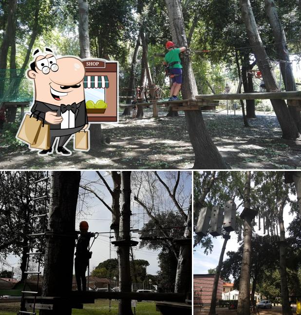 Guarda l'area esterna di Apua Adventure Park
