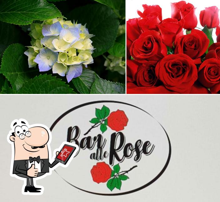Bar alle Rose