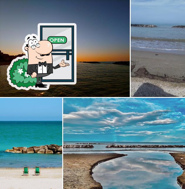 Bar Frontemare café