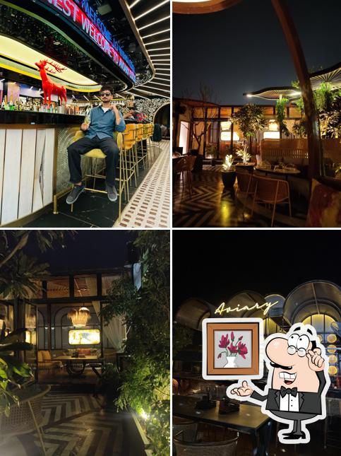 Aviary Cocktail Nest