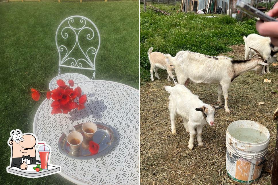 Goditi qualcosa da bere a Tenuta I Papaveri