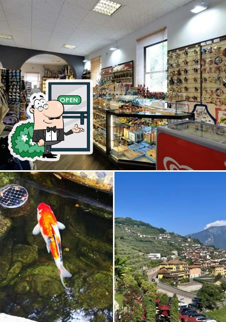 Gli esterni di Bar Souvenirs Parco Cascate del Varone - Tenno (tn)