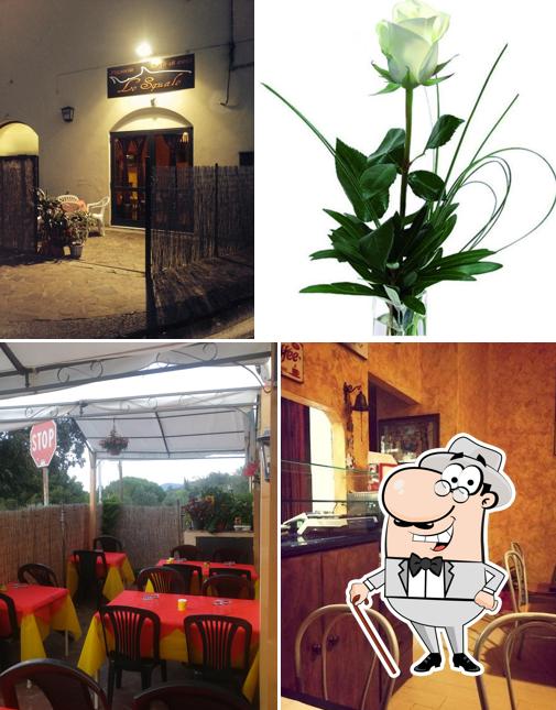 Gli esterni di Pizzeria Lo squalo