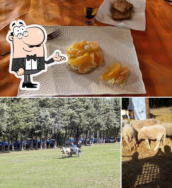 Dai un'occhiata agli interni di Area Pic-nic Montepiano
