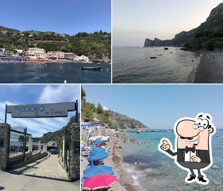 Curiosa tra la parte esterna di Lo Scoglio