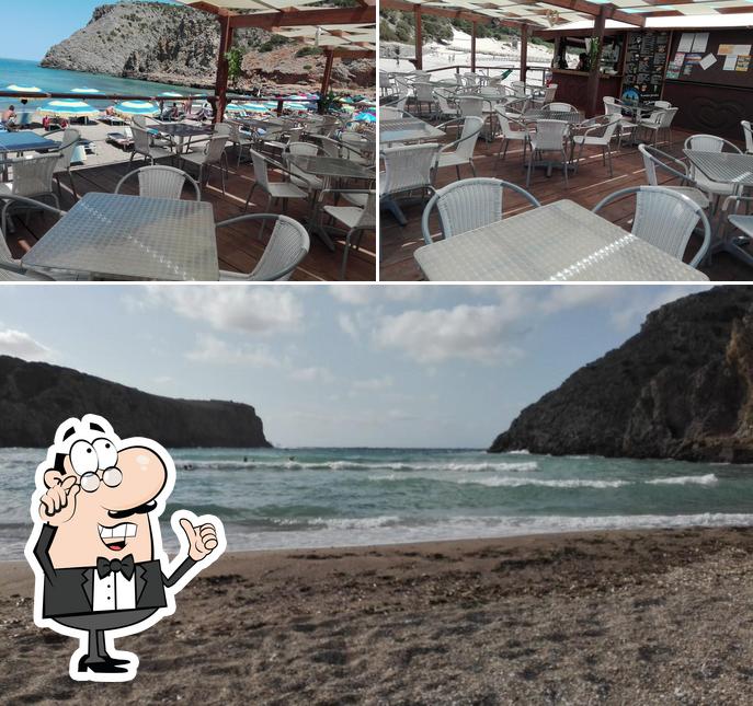 Tra le diverse cose da Stabilimento chiosco bar Cala Domestica si possono trovare la interni e esterno