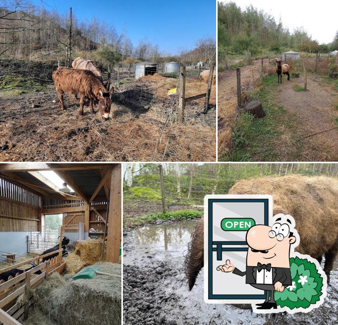 Les Chevrettes - Bar restaurant Agri'Cool