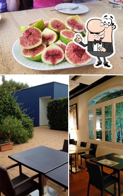 La immagine di interni e cibo da Ristorante Agricola Samadhi