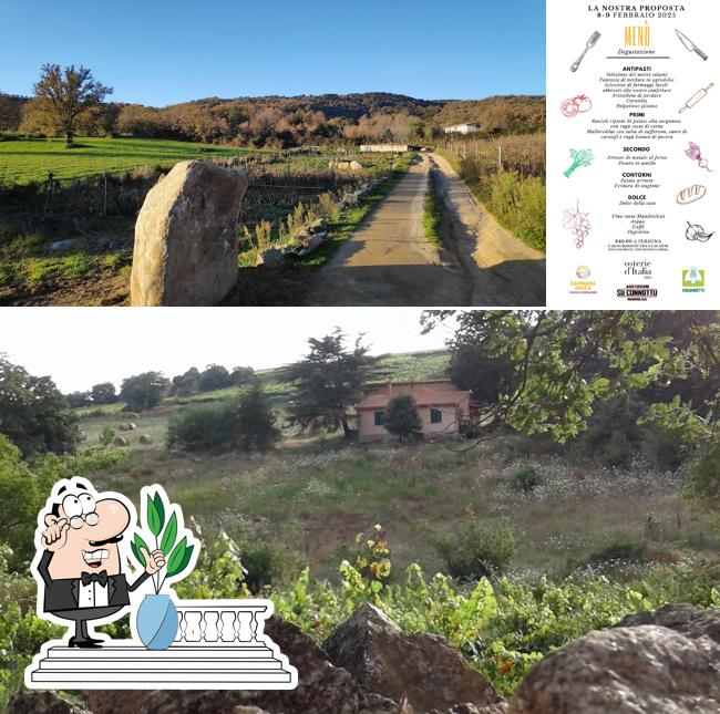 Guarda l'area esterna di Agriturismo "Su connottu"