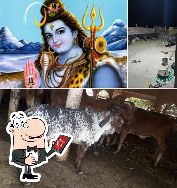 See this image of Shiv Shakti Dairy Fram
