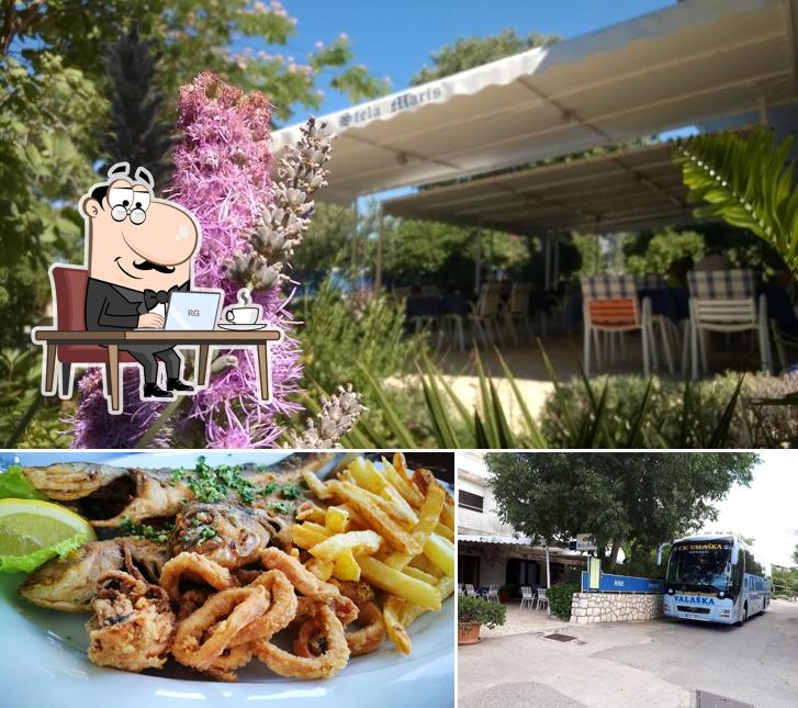 Questa è la foto che mostra la interni e cibo di Pension & Restaurant Stella Maris Klenovica