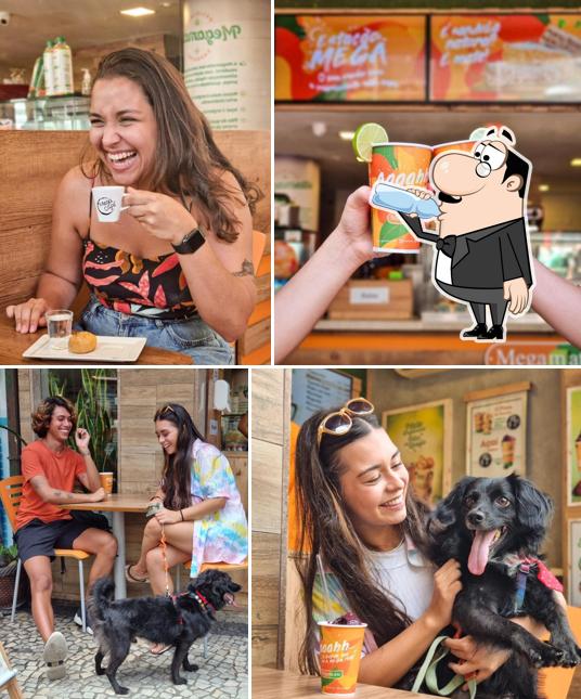 Confira a ilustração ilustrando bebida e comida a Megamatte Ipanema