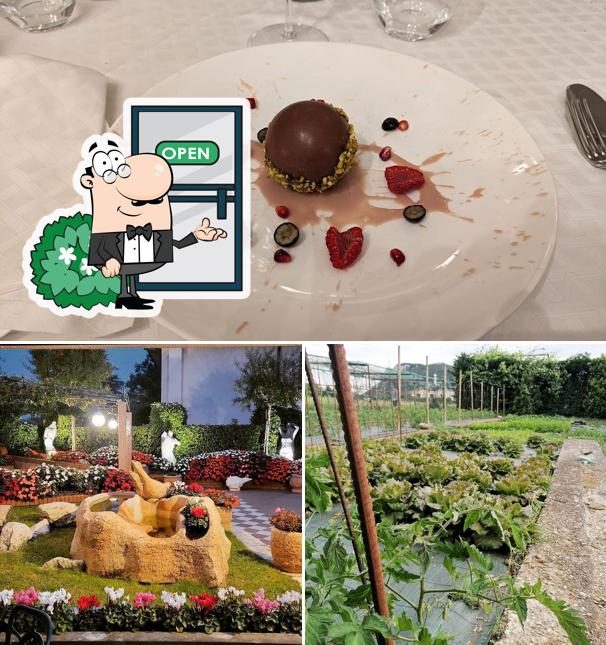 La esterno e cibo del ristorante