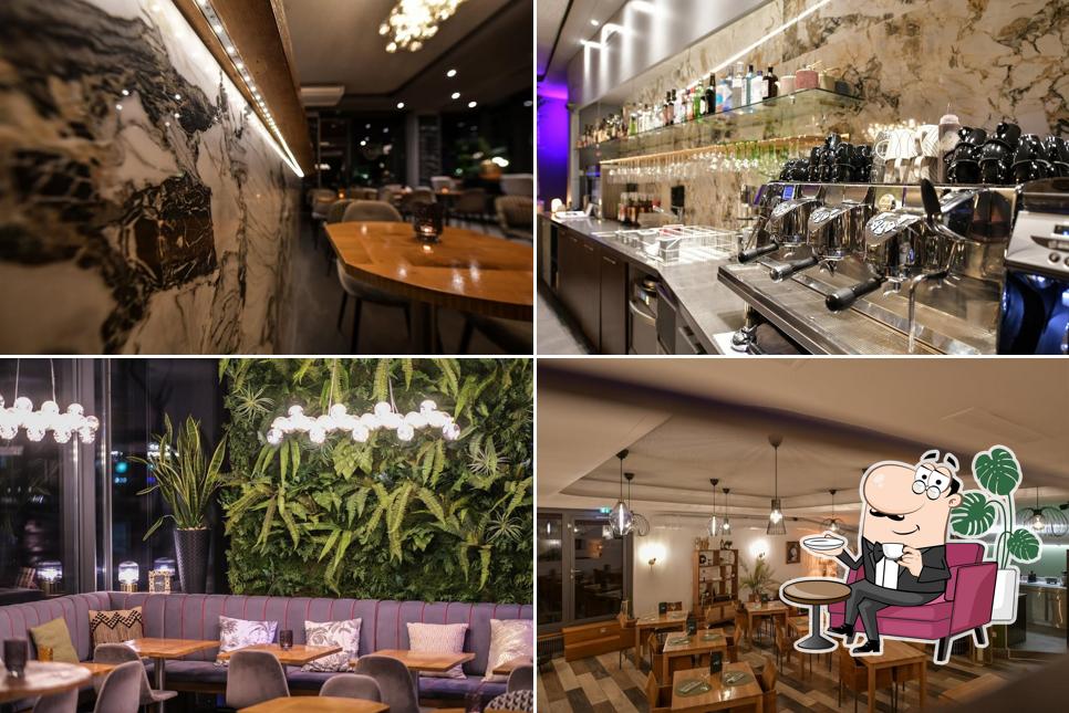 Gli interni di Arlequin