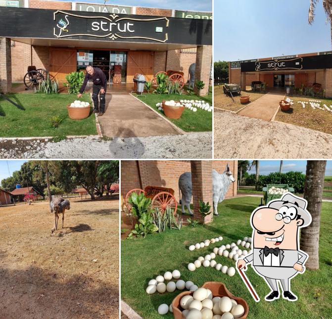 Strut Loja Roupas - Lanchonete