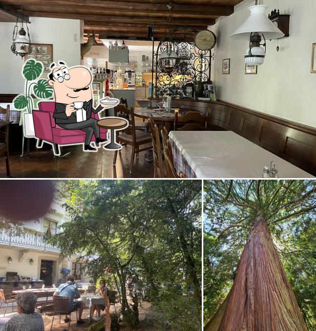 Gli interni di Restaurant Kreuzen