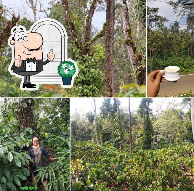 Enjoy the view at the outside area of TalaCauvery Eco coffee (TEC) works