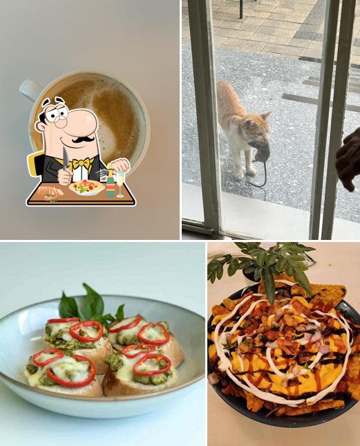 Food at Four Lost Cats