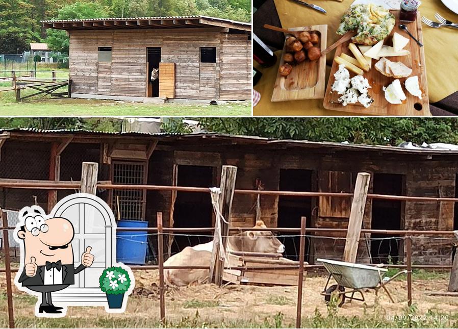 Agriturismo La Fattoria si caratterizza per la esterno e cibo