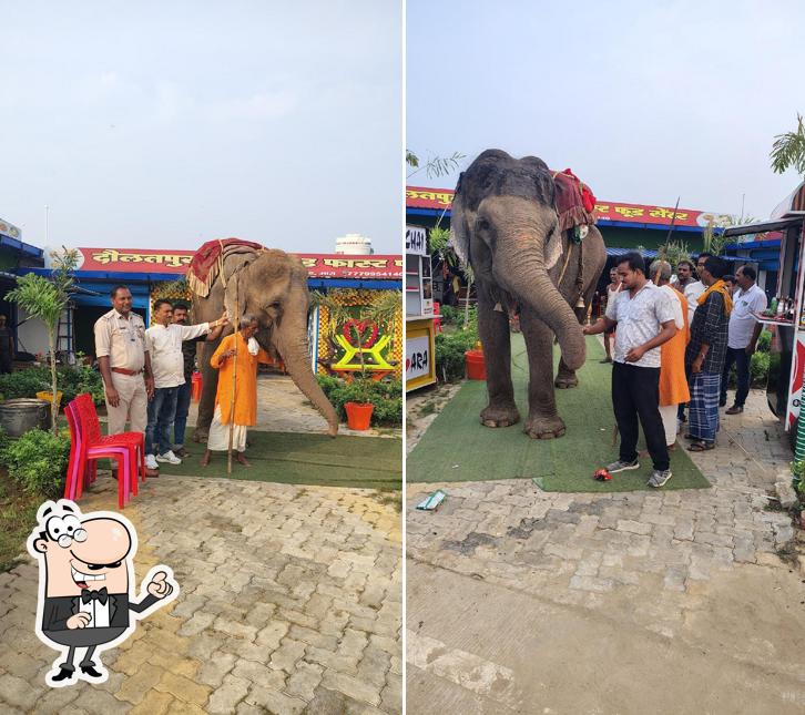 Daulatpur Dhaba and Fast Food Centre