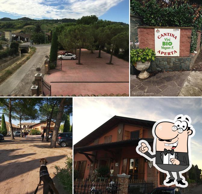 Gli esterni di Agriturismo Corte Montini