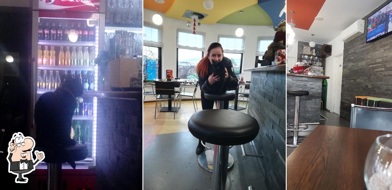 Gli interni di BAR KROG - Sežana