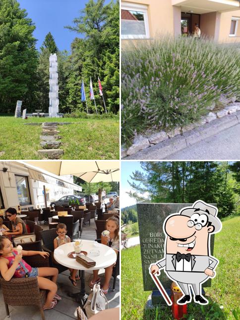 Slaščičarna Bistrica, Paraziti Saćip s.p.