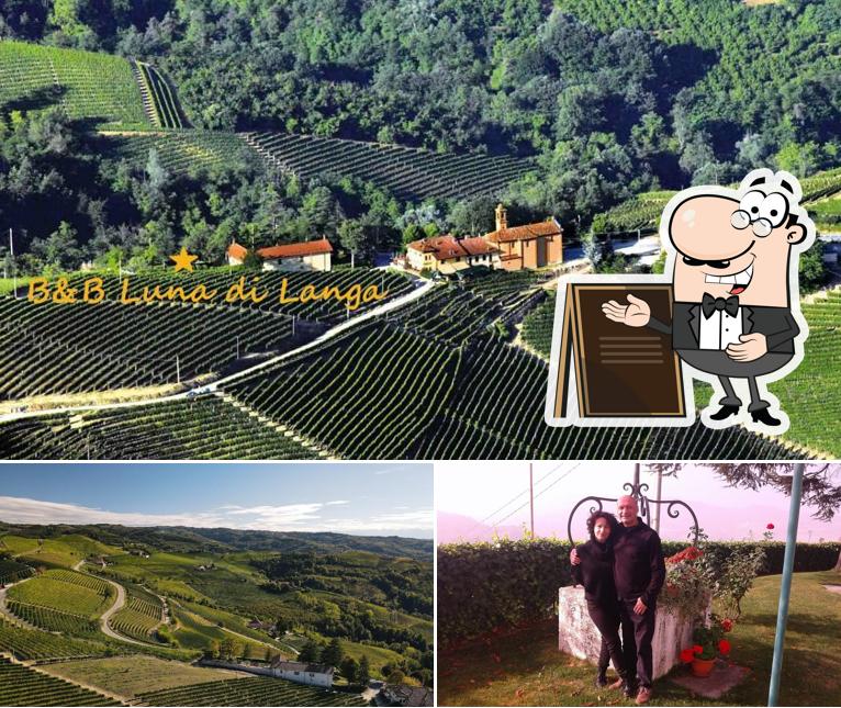 Guarda gli esterni di B&B Luna di Langa