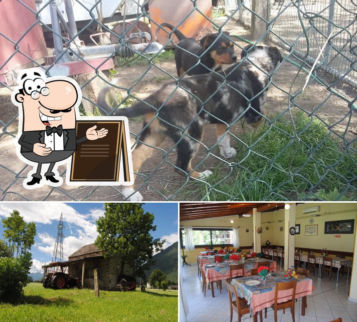 Curiosa tra la parte esterna di Agriturismo AZ