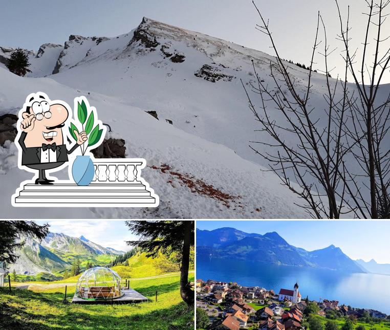 Guarda gli esterni di Tipi