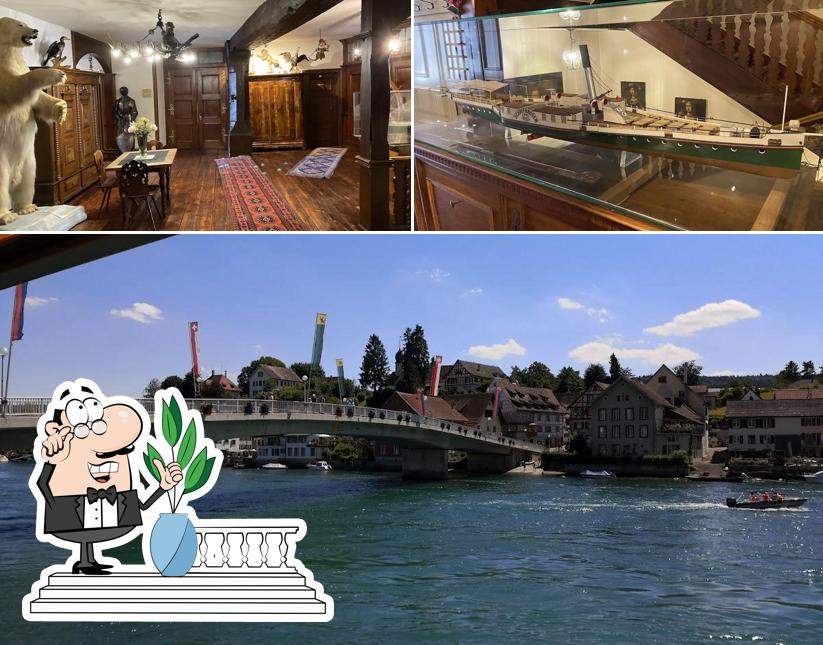 Questa è la foto che presenta la esterno e interni di Hotel Restaurant Rheinfels, Max Schwegler