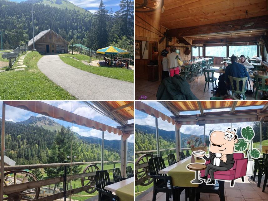 Dai un'occhiata agli interni di La Cabane du Petit Oiseau