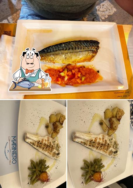 Salmone grigliato al Marinero Ristorante - Bistrot