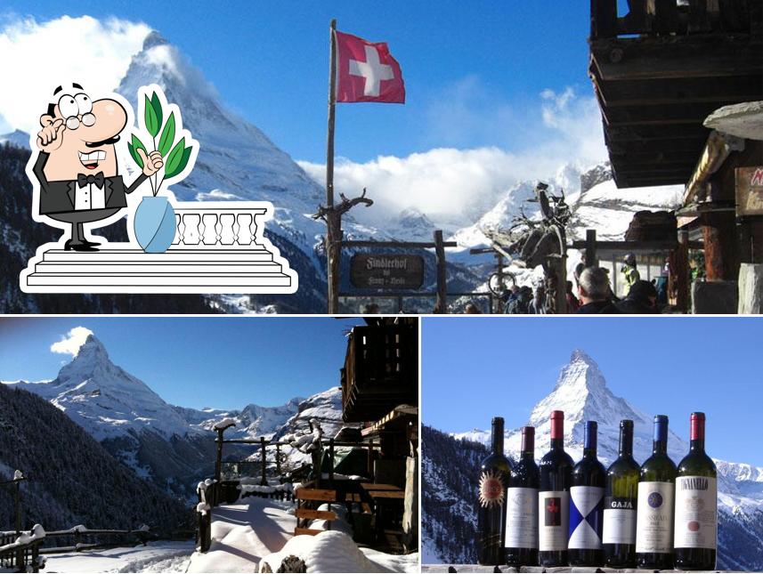 Guarda la foto che raffigura la esterno e bevanda di Findlerhof