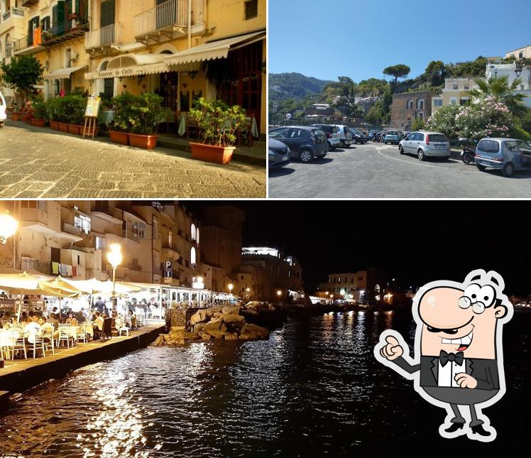 Curiosa tra gli esterni di Da Ciccio a Ischia ponte