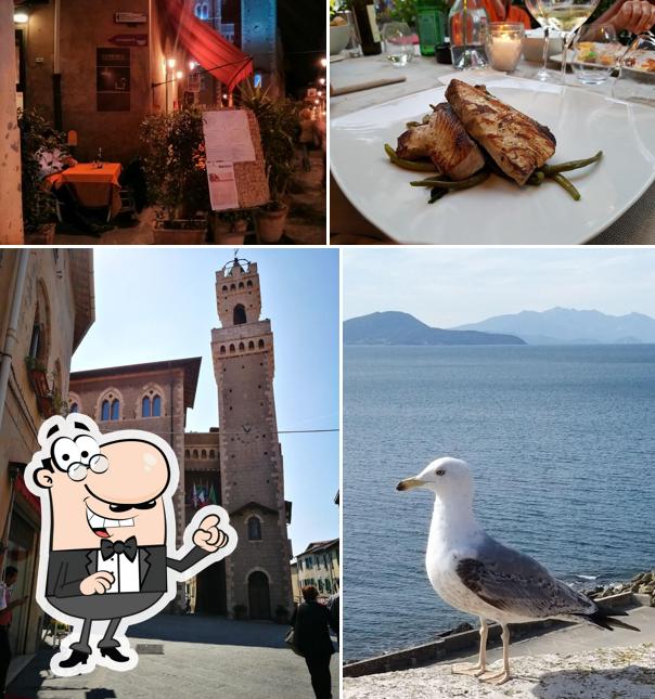 Guarda gli esterni di Taverna Dei Boncompagni Piombino